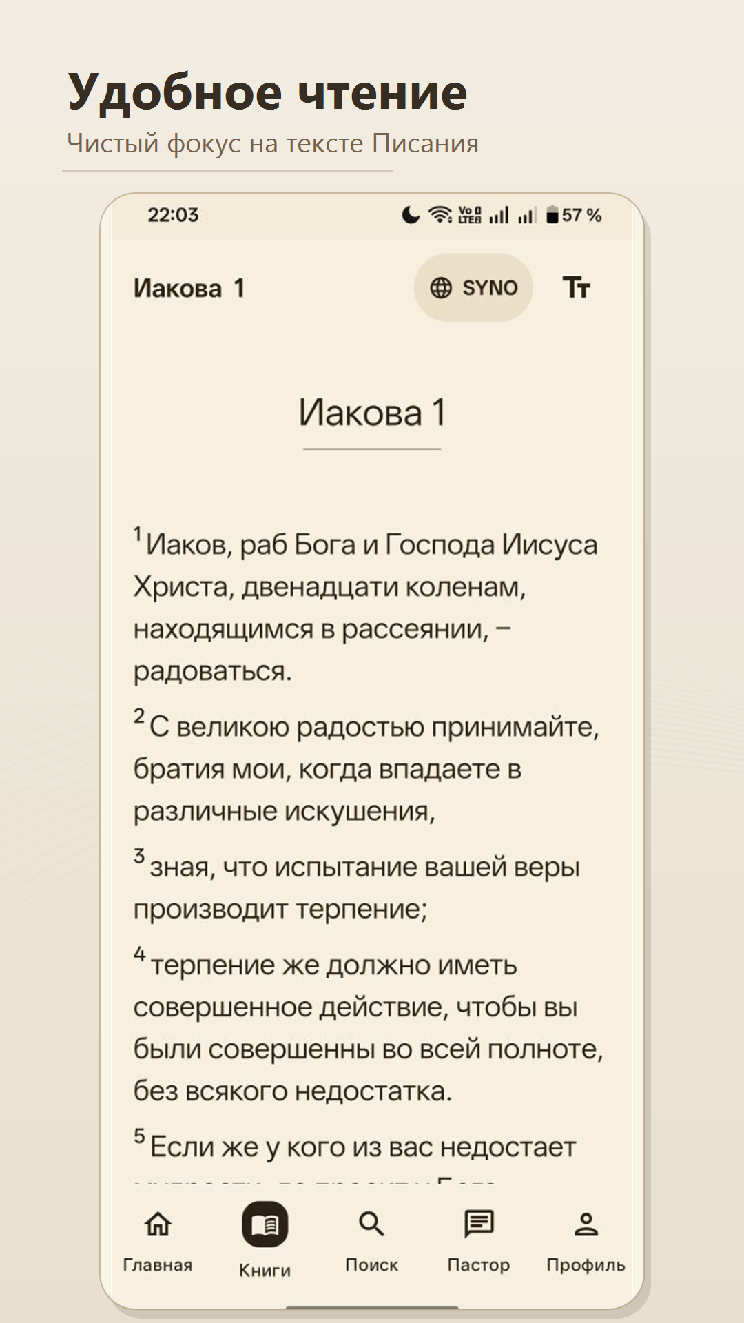 Экран чтения Библии в приложении